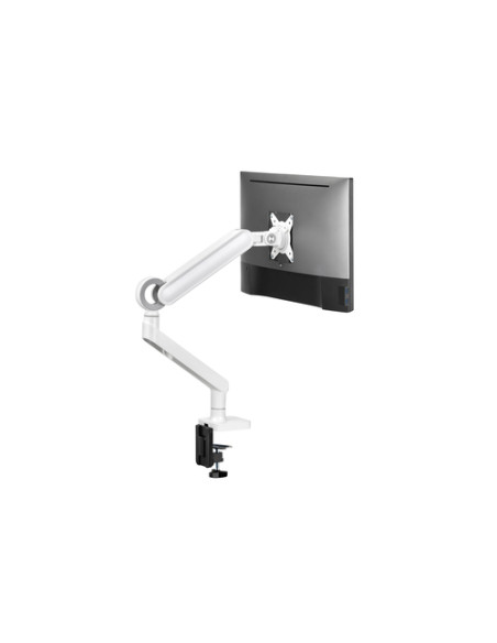 Equip Staffa di montaggio per monitor premium da 17“-35”, bianco