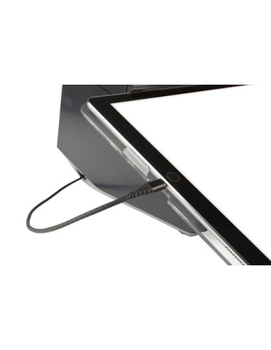 Epson TM-m30II-SL (512): USB + Ethernet + BT + NES + Lightning + SD, Black, PS, EU