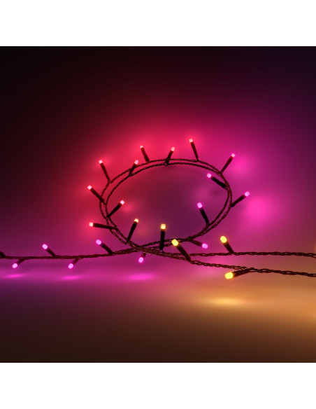 Philips Hue White and Color ambiance Stringa di luci Festavia