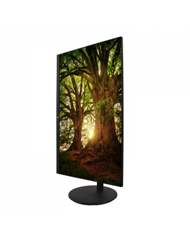 V7 L238IPS-HAS-E Monitor PC 60,5 cm (23.8") 1920 x 1080 Pixel Full HD LED Nero