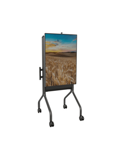 Chief LSCUB supporto per dispositivi DVD e audio Nero