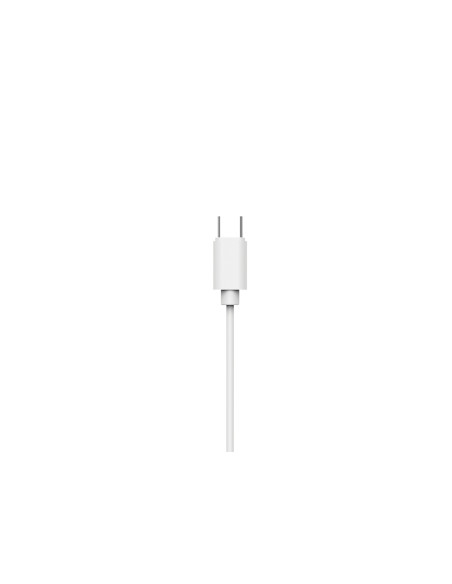 Philips TAE2146WT/00 cuffia e auricolare Cablato In-ear Musica e Chiamate USB tipo-C Bianco