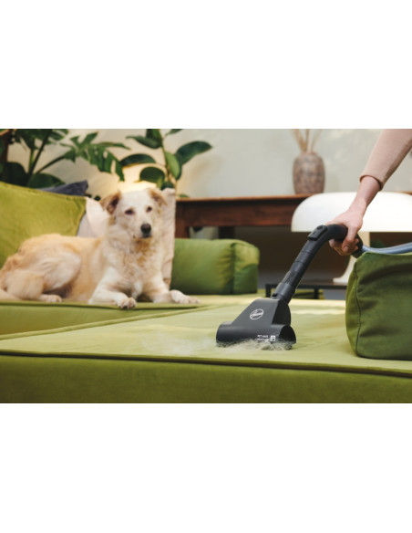 Hoover HP120PET 011 2 L A cilindro Secco 700 W Senza sacchetto