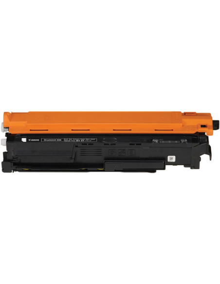 Canon 034 Originale