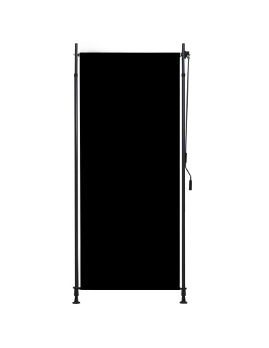 Tenda a Rullo per Esterni 100x270 cm Antracite