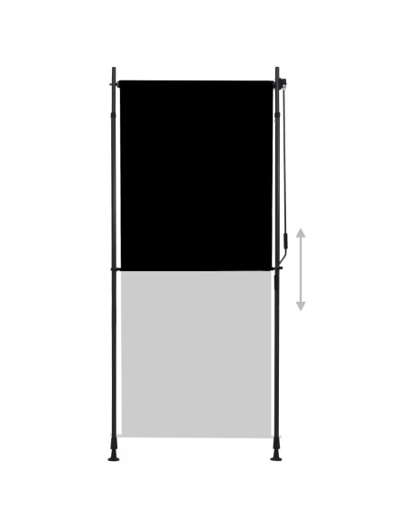 Tenda a Rullo per Esterni 100x270 cm Antracite