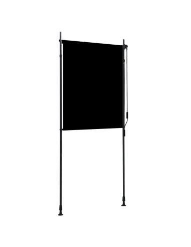 Tenda a Rullo per Esterni 100x270 cm Antracite