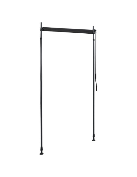 Tenda a Rullo per Esterni 100x270 cm Antracite