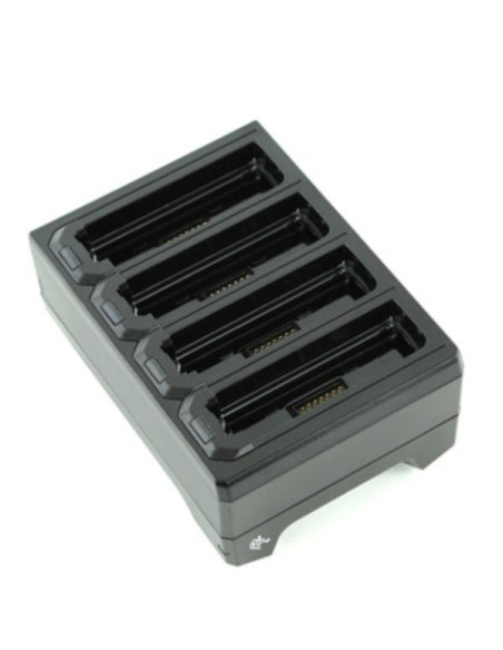 WT6000/RS6000 4 SLOT SPARE BATTERY