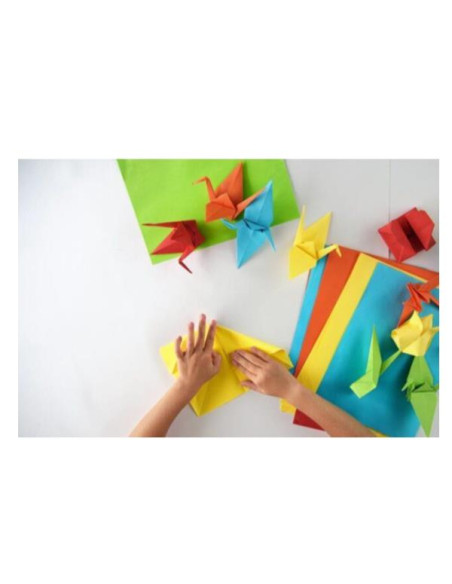 RISMA ORIGAMI 80G 5 TENUI+5 FORTI