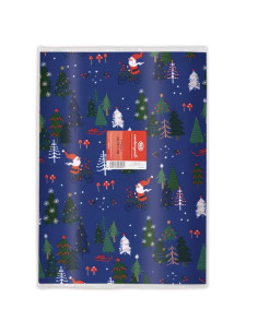 CF10 CARTA REGALO RASO BUSTE 2