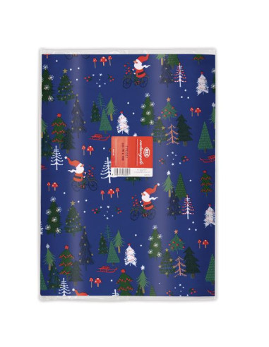 CF10 CARTA REGALO RASO BUSTE