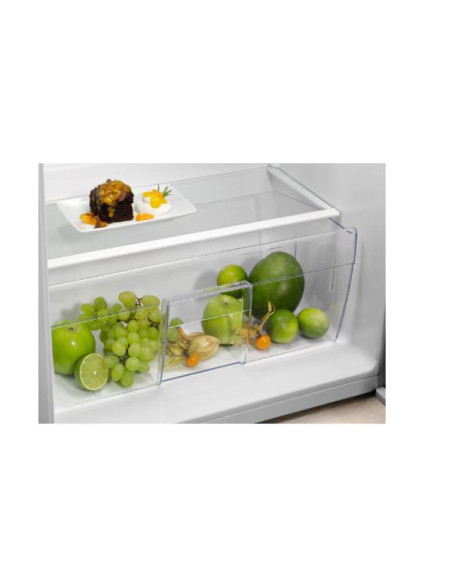 MONO INC STAT 102 E 148L