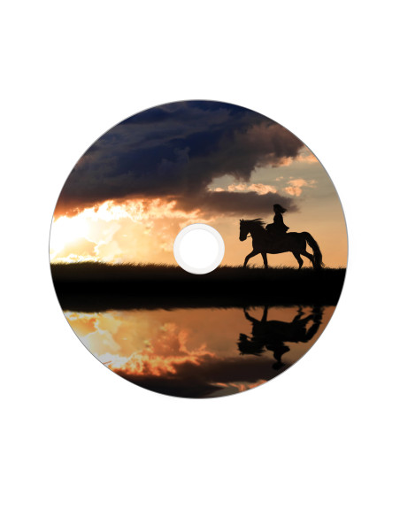 Verbatim 43667 DVD vergine 8,5 GB DVD+R DL 25 pz