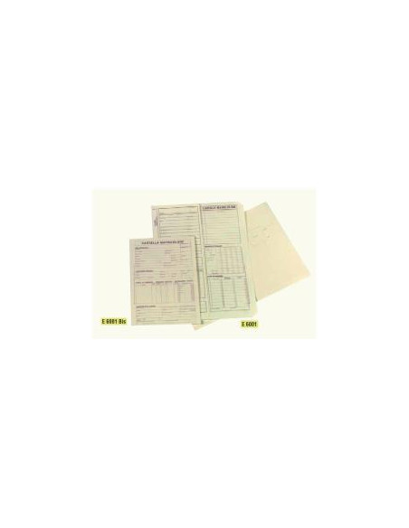CF100CARTELLA MATRICOLARE F.TO24X17