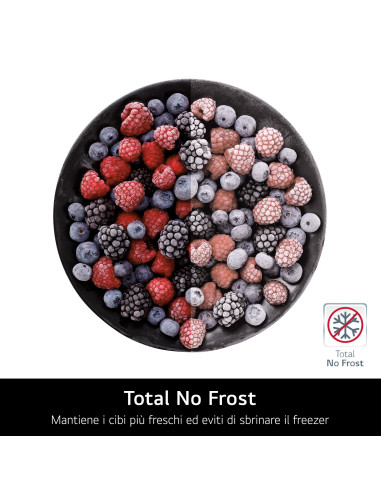 LG GTB744PZHED Frigorifero doppia porta, Classe E, 506L, Wi-Fi, Door Cooling, Cassetto 0 gradi, Gestione umidità, Inox