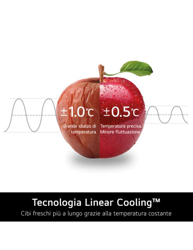 LG GTB744PZHED Frigorifero doppia porta, Classe E, 506L, Wi-Fi, Door Cooling, Cassetto 0 gradi, Gestione umidità, Inox