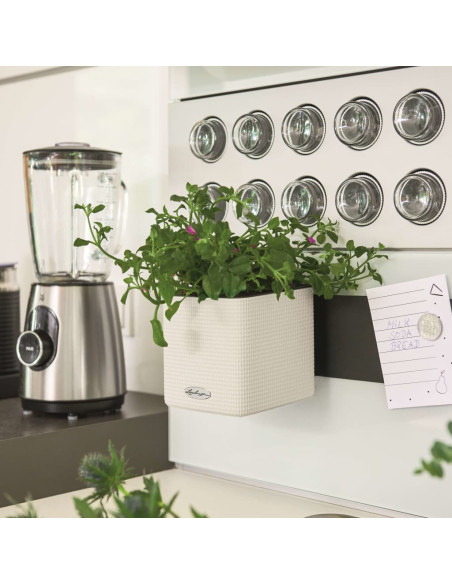 LECHUZA Fioriere 3 pz Green Wall Home Kit Bianco