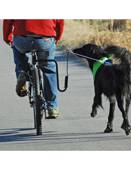 SPRINGER Kit Ginnico per Bicicletta per Cani