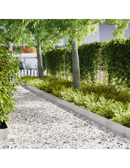 Bordura per Prato 20 pcs Argento 100 x 0.05 x 20 cm