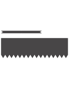 Bordura per Prato 20 pcs Nero 100 x 0.05 x 20 cm 2