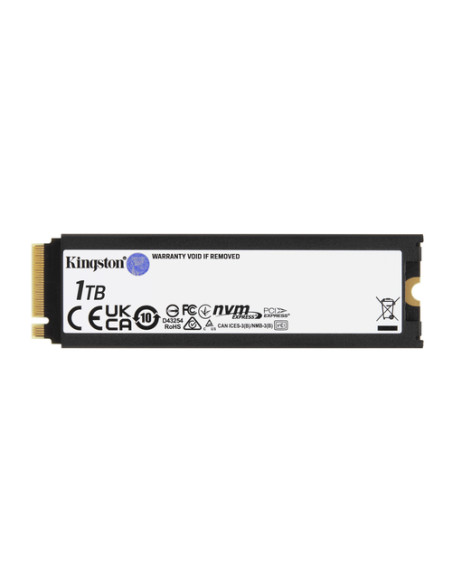 Kingston Technology 1000G RENEGADE PCIe 4.0 NVMe SSD W/ Dissipatore di calore