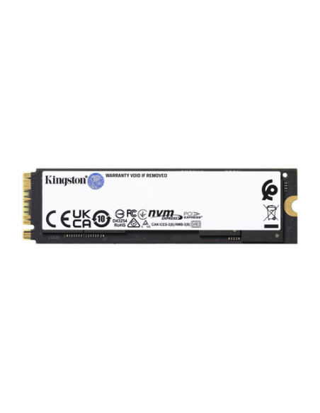 Kingston Technology 2000G FURY RENEGADE M.2 2280 NVMe SSD
