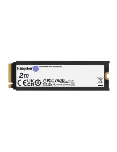 Kingston Technology 2000G RENEGADE PCIe 4.0 NVMe SSD W/ Dissipatore di calore