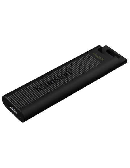 Kingston Technology DataTraveler 256GB Max 1000R/900W USB 3.2 Gen 2