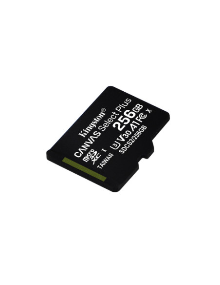 Kingston Technology Scheda micSDXC Canvas Select Plus 100R A1 C10 da 256GB confezione singola senza adattatore