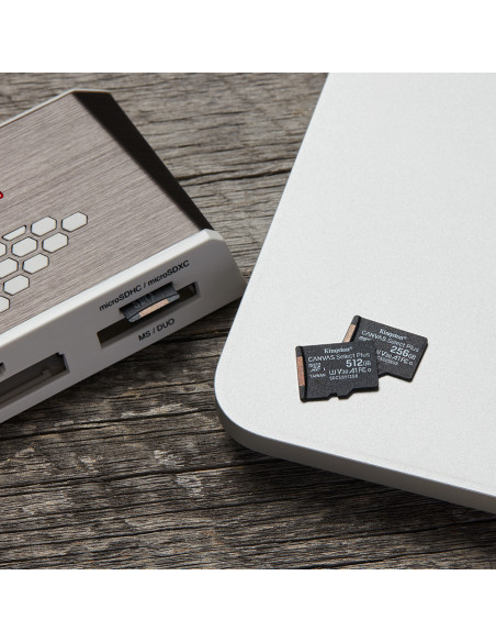 Kingston Technology Scheda micSDXC Canvas Select Plus 100R A1 C10 da 256GB confezione singola senza adattatore