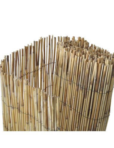 Recinzione da Giardino in Canna 100x1000 cm