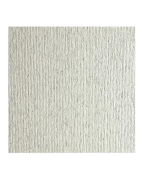 CF10 LR BRINA-70X100