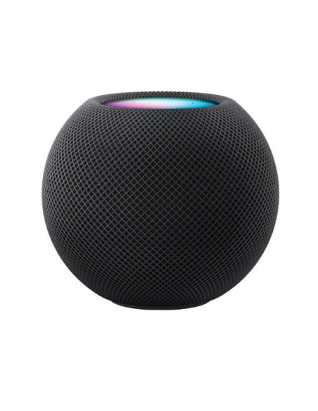 HOMEPOD MINI SPACE GRAY