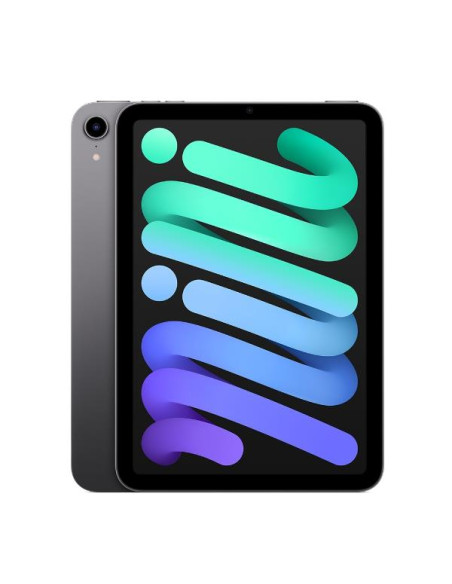 IPAD MINI WI-FI 256GB S G