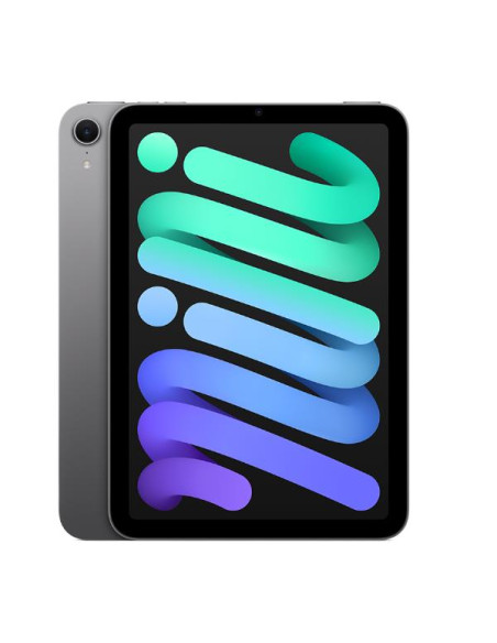 IPAD MINI WI-FI CL 128GB SP GR