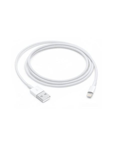 LIGHTNING TO USB CABLE (1 M)