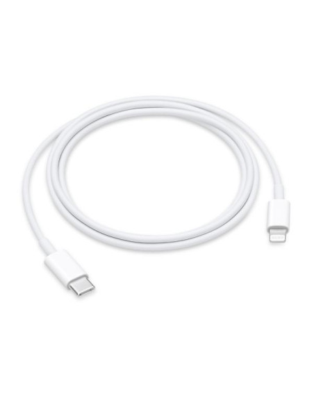 USB-C TO LIGHTNING CABLE (1 M)