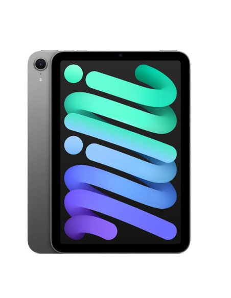 IPAD MINI WI-FI 256GB SPACE GRAY