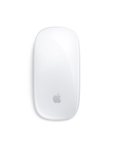 MAGIC MOUSE WH-INT
