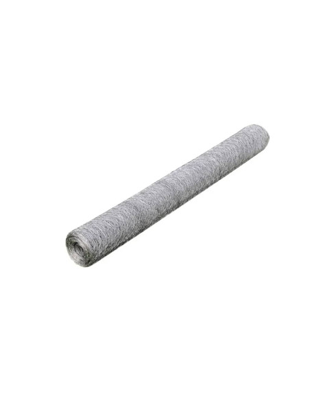 Recinzione in Rete per Pollaio Acciaio Zincato 25x0,5 m Argento