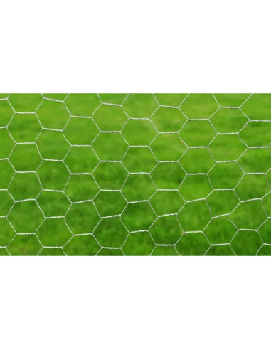 Recinzione in Rete per Pollaio Acciaio Zincato 25x0,5 m Argento