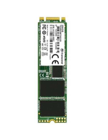 256GB SINGLE SIDE M.2 2280 SSD
