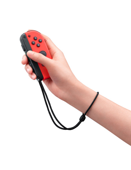 Switch Nintendo Switch Sports