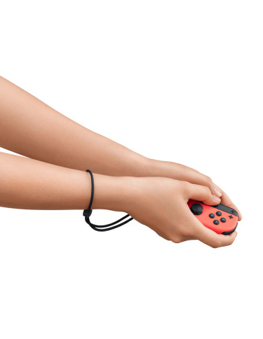 Switch Nintendo Switch Sports