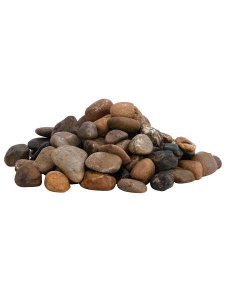 Ciottoli Levigati 10 kg Colore Misto 2-5 cm