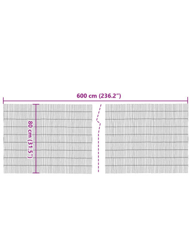Recinzione da Giardino 600x80 cm Giunco