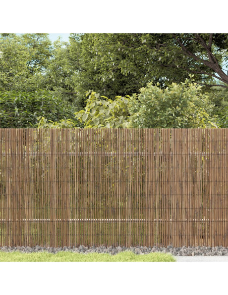 Recinzione da Giardino 600x80 cm Giunco