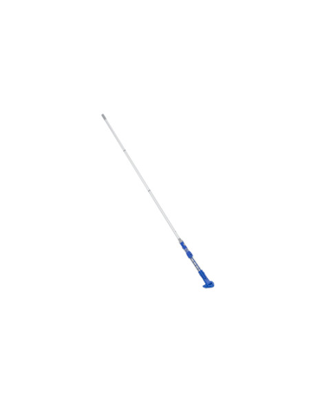 Bestway 58649 aspiratore per stagno e piscina Aspirazione manuale