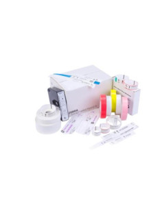 Z-BAND SPLASH WRISTBAND25X254MM 2